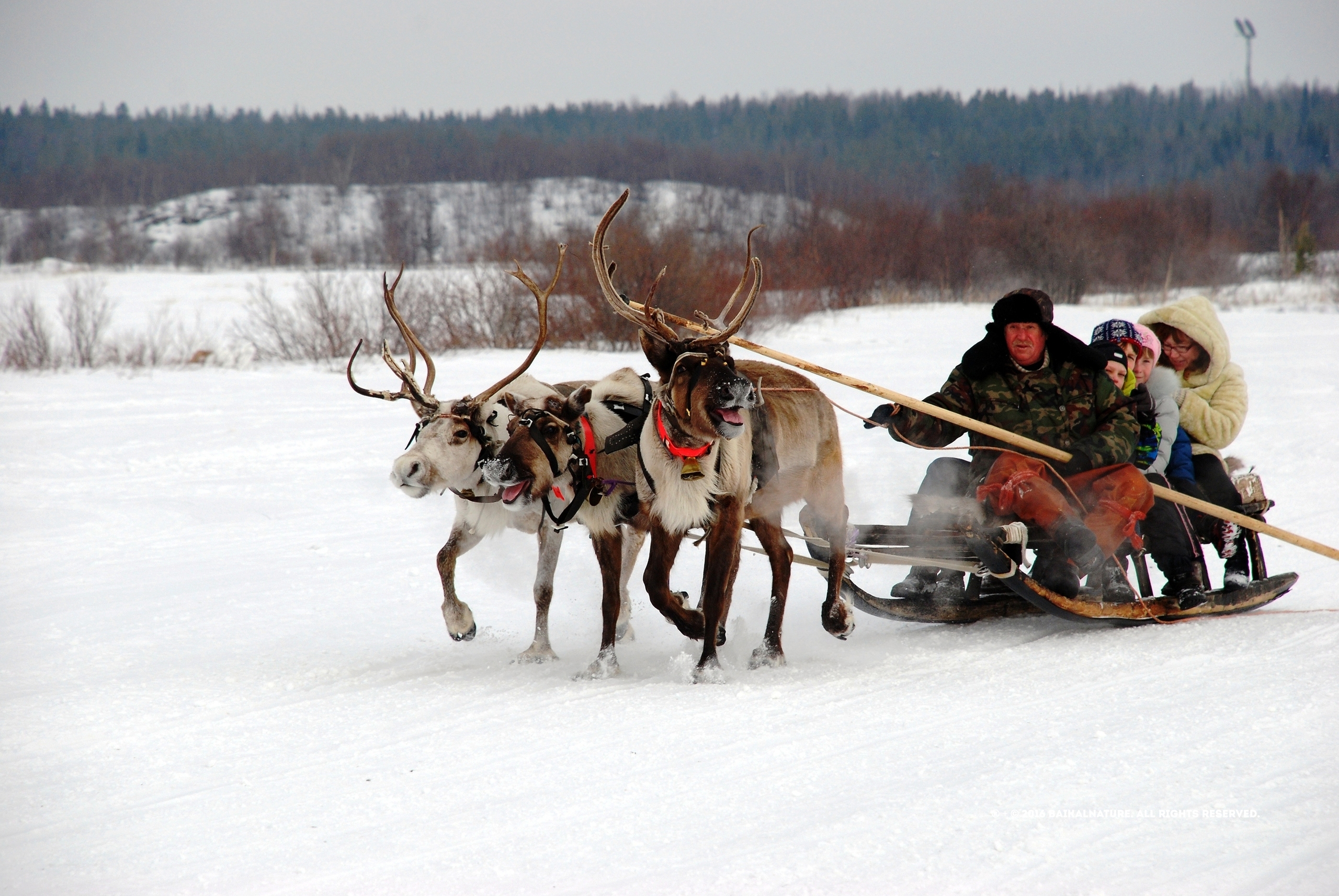 Brazzers pornostudiyasidan yangi video